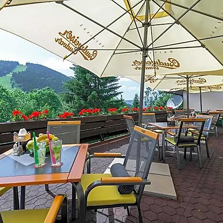 Parkhotel Harrachov ホテル