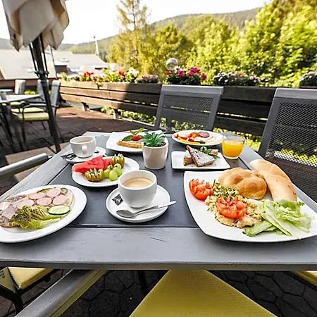 ホテル Parkhotel Harrachov 3*