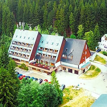 ホテル Parkhotel Harrachov 3*