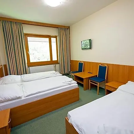 ホテル Parkhotel Harrachov ロキトニツェ・ナト・イゼロウ