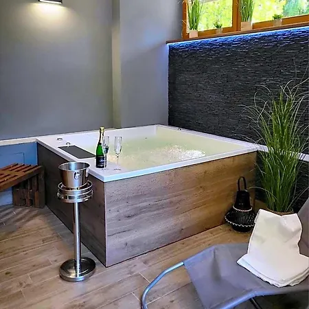 Parkhotel Harrachov ホテル ロキトニツェ・ナト・イゼロウ