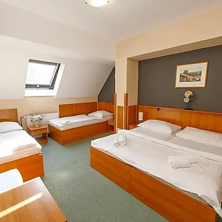 ホテル Parkhotel Harrachov
