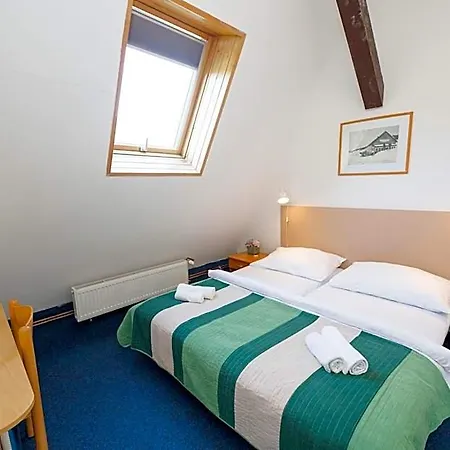 ホテル Parkhotel Harrachov 3*