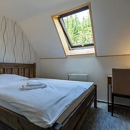 Parkhotel Harrachov ホテル 3*