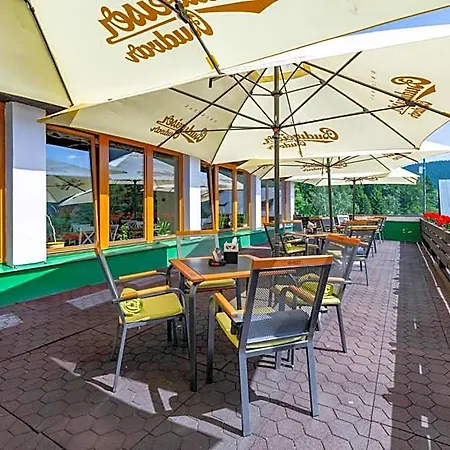 Parkhotel Harrachov ホテル 3*